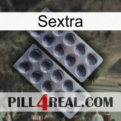 Sextra 31